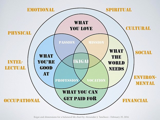 A venn diagram of the concept of IKIGAI