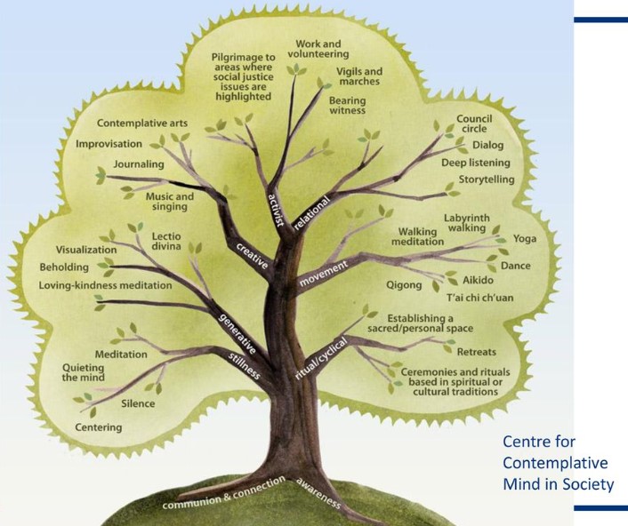 illustration of a tree showing different branches to represent different aspects of contemplation