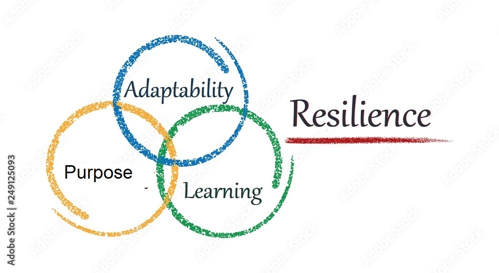 A Venn diagram showing the overlap of adaptability, purpose and learning labelled as resilience