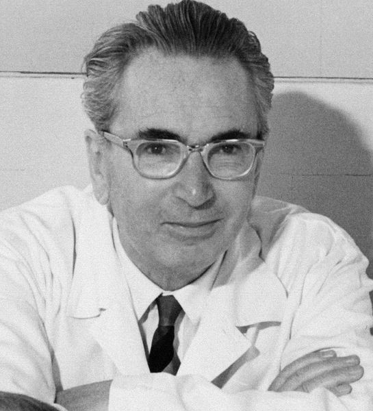 Photo of Victor Frankl