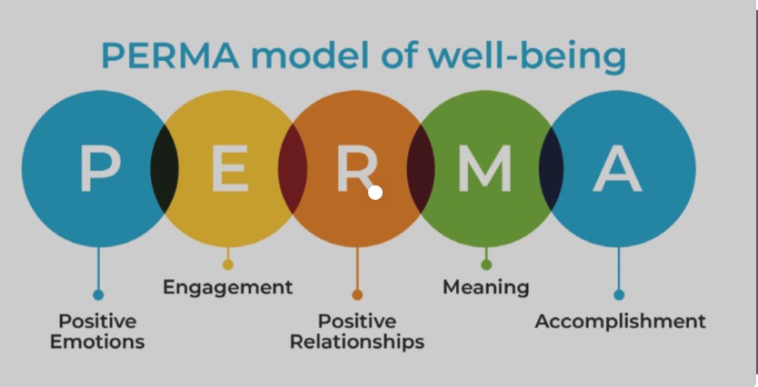 Chart depicting the PERMA model of wellbeing